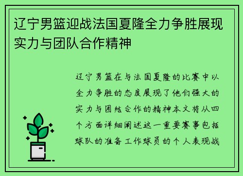 辽宁男篮迎战法国夏隆全力争胜展现实力与团队合作精神